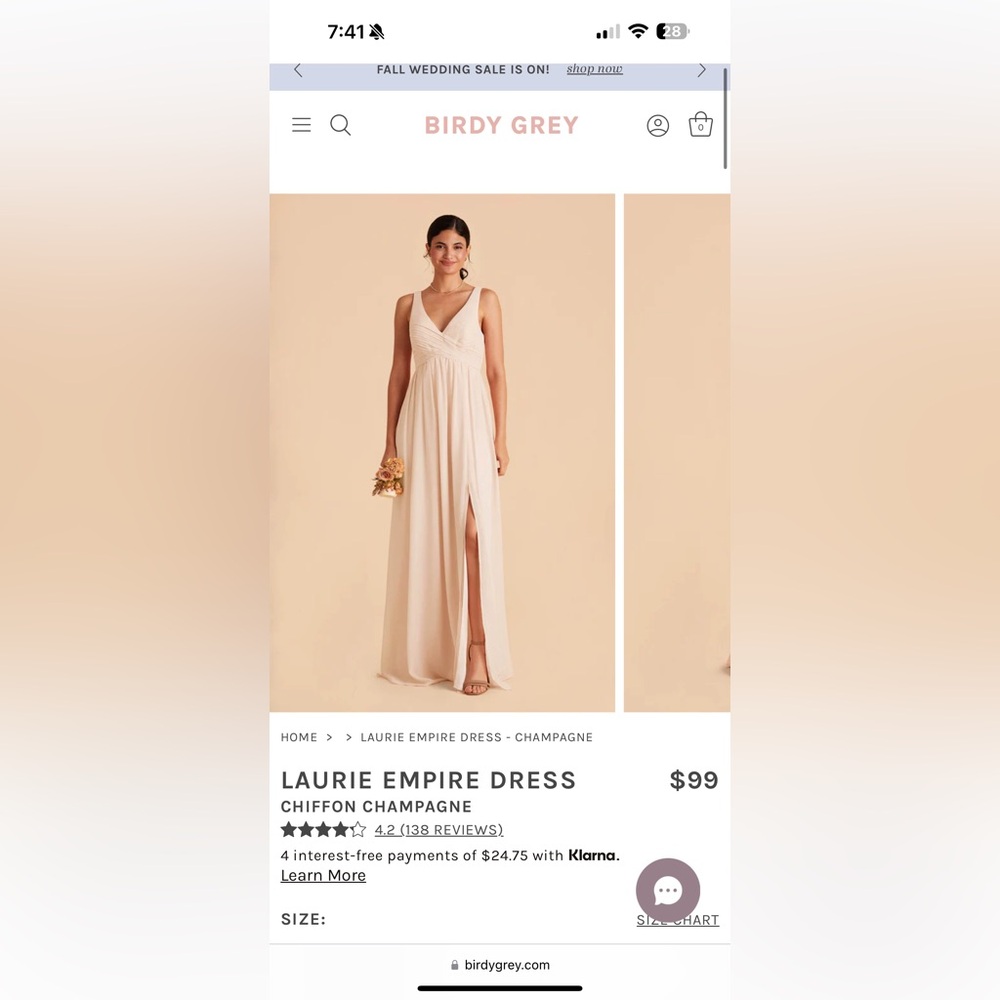 Brand New Birdy Grey Dress